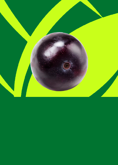 Açaí